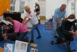 marsdijkfestival 2013