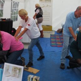 marsdijkfestival 2013